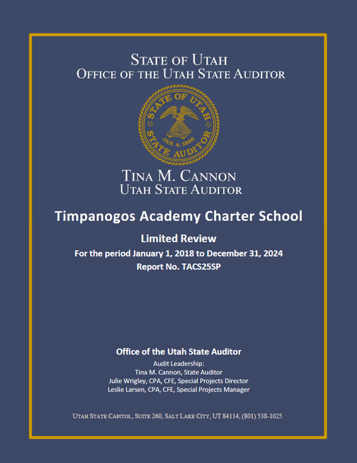 Timp Board initiated Audit results